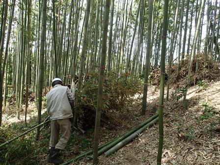 竹を活かすヤマ仕事　4月